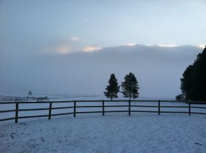 Cold Montana Morning